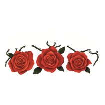 TriedAgain logo